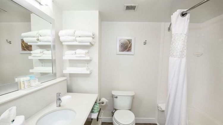 Hampton Inn Jacksonville E Regency Sq Room