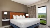 <b>Hampton Inn Kingsport Room</b>. Images powered by <a href="https://iceportal.shijigroup.com/" title="IcePortal" target="_blank">IcePortal</a>.