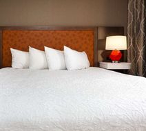 Hampton Inn Kingsport Room