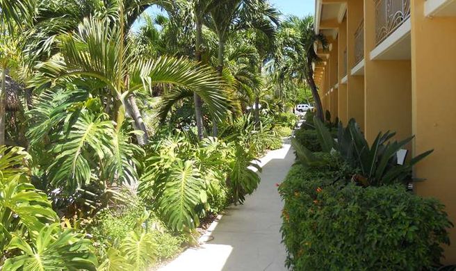 Hampton Inn Key Largo Exterior