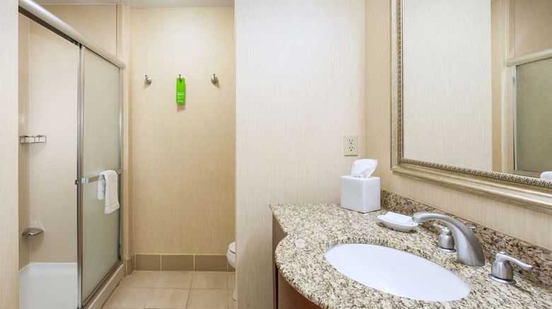 <b>Hampton Inn & Suites West Summerlin Room</b>. Images powered by <a href="https://iceportal.shijigroup.com/" title="IcePortal" target="_blank">IcePortal</a>.