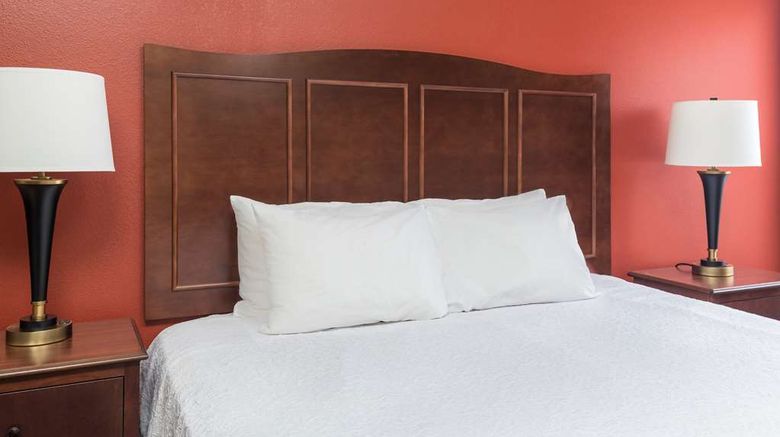 <b>Hampton Inn Lubbock Room</b>. Images powered by <a href="https://iceportal.shijigroup.com/" title="IcePortal" target="_blank">IcePortal</a>.