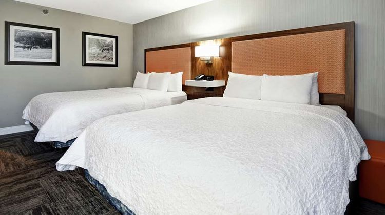 Hampton Inn I-75 Room