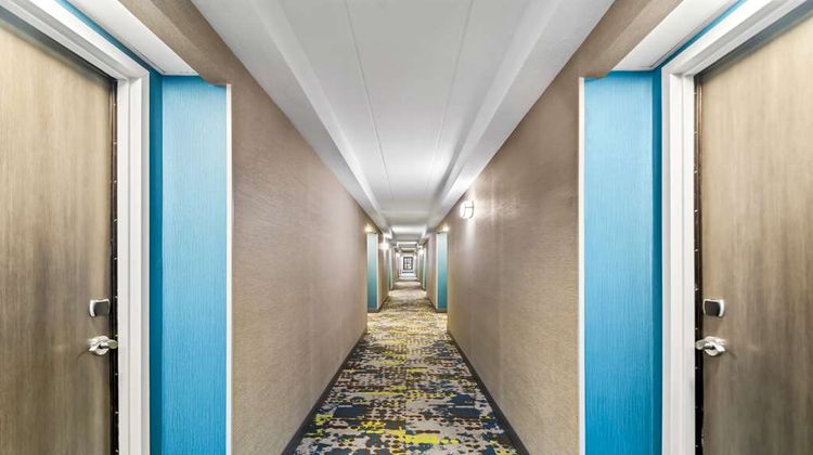 Hampton Inn Lexington/Georgetown Other