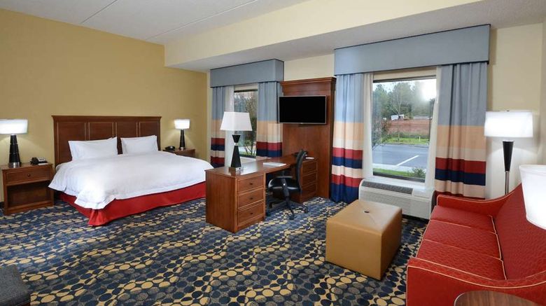 <b>Hampton Inn & Suites Lynchburg Room</b>. Images powered by <a href="https://iceportal.shijigroup.com/" title="IcePortal" target="_blank">IcePortal</a>.