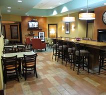 Hampton Inn Birch Run-Frankenmuth Lobby