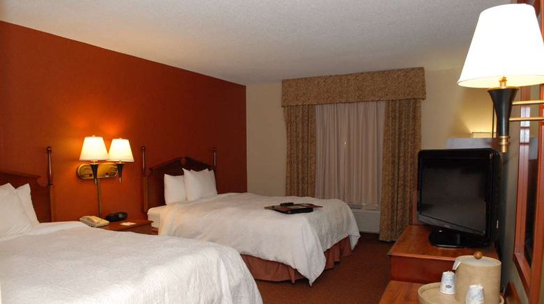 <b>Hampton Inn Birch Run-Frankenmuth Other</b>. Images powered by <a href="https://iceportal.shijigroup.com/" title="IcePortal" target="_blank">IcePortal</a>.