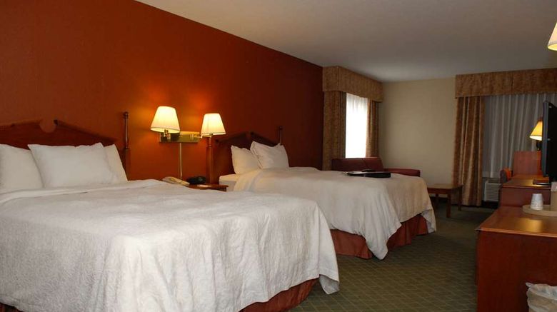 <b>Hampton Inn Birch Run-Frankenmuth Other</b>. Images powered by <a href="https://iceportal.shijigroup.com/" title="IcePortal" target="_blank">IcePortal</a>.