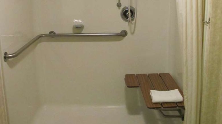 <b>Hampton Inn Birch Run-Frankenmuth Room</b>. Images powered by <a href="https://iceportal.shijigroup.com/" title="IcePortal" target="_blank">IcePortal</a>.