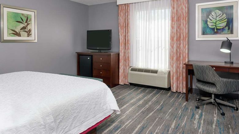 <b>Hampton Inn & Suites Orlando Airport Room</b>. Images powered by <a href="https://iceportal.shijigroup.com/" title="IcePortal" target="_blank">IcePortal</a>.