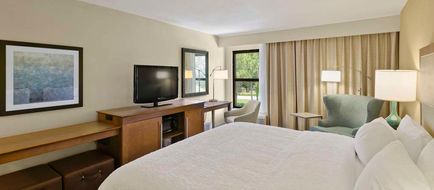Hampton Inn Mount Dora Room