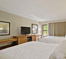 Hampton Inn Mount Dora Room