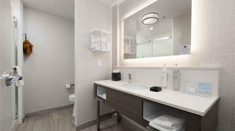 <b>Hampton Inn & Suites McAllen Room</b>. Images powered by <a href="https://iceportal.shijigroup.com/" title="IcePortal" target="_blank">IcePortal</a>.