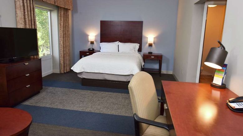 <b>Hampton Inn Alexander City Room</b>. Images powered by <a href="https://iceportal.shijigroup.com/" title="IcePortal" target="_blank">IcePortal</a>.