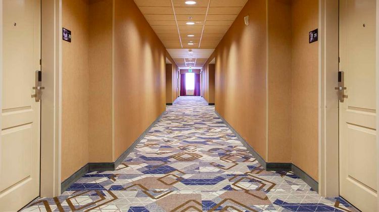 Hampton Inn & Suites Mountain Home Room