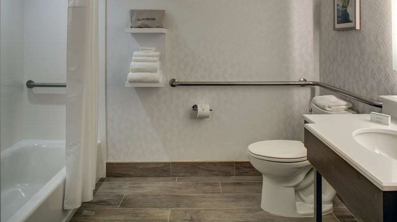 <b>Hampton Inn & Suites Miami Airport South Room</b>. Images powered by <a href="https://iceportal.shijigroup.com/" title="IcePortal" target="_blank">IcePortal</a>.