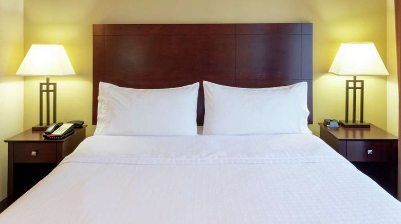 <b>Homewood Suites by Hilton New Brighton Room</b>. Images powered by <a href="https://iceportal.shijigroup.com/" title="IcePortal" target="_blank">IcePortal</a>.