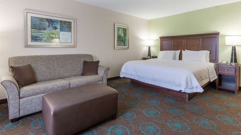 <b>Hampton Inn Minneapolis/Shakopee Room</b>. Images powered by <a href="https://iceportal.shijigroup.com/" title="IcePortal" target="_blank">IcePortal</a>.