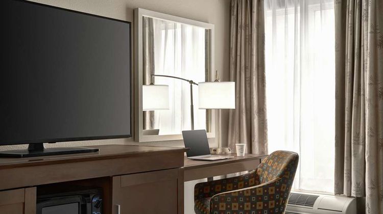 Hampton Inn New Orleans-St Charles Ave Room
