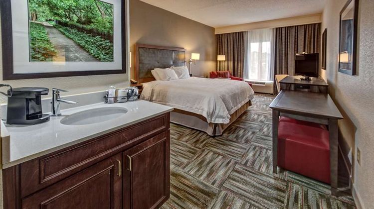Hampton Inn Newbery-Opera House Room