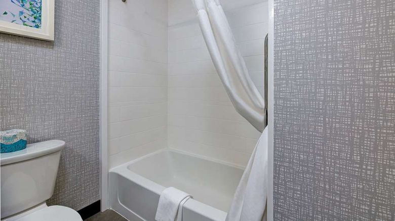 <b>Hampton Inn & Suites Nacogdoches Room</b>. Images powered by <a href="https://iceportal.shijigroup.com/" title="IcePortal" target="_blank">IcePortal</a>.