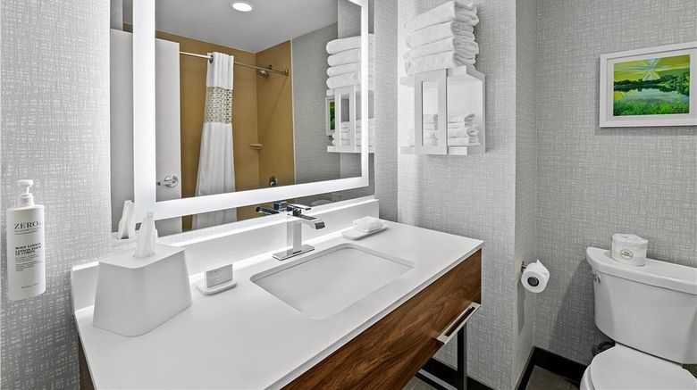 <b>Hampton Inn Omaha/West Dodge Road Room</b>. Images powered by <a href="https://iceportal.shijigroup.com/" title="IcePortal" target="_blank">IcePortal</a>.