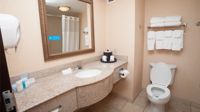 <b>Hampton Inn Oneonta Room</b>. Images powered by <a href="https://iceportal.shijigroup.com/" title="IcePortal" target="_blank">IcePortal</a>.