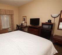 Hampton Inn Oneonta Room