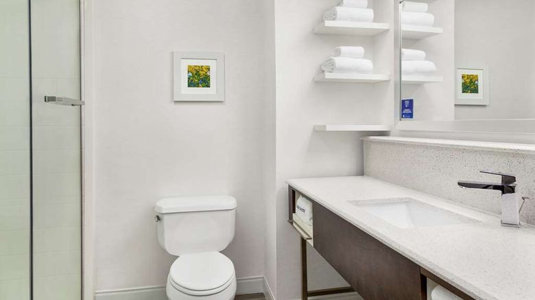 <b>Hampton Inn Paris Room</b>. Images powered by <a href="https://iceportal.shijigroup.com/" title="IcePortal" target="_blank">IcePortal</a>.