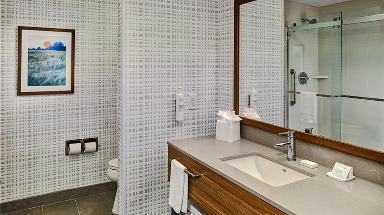 <b>Hampton Inn Pigeon Forge Room</b>. Images powered by <a href="https://iceportal.shijigroup.com/" title="IcePortal" target="_blank">IcePortal</a>.