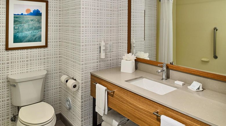 <b>Hampton Inn Pigeon Forge Room</b>. Images powered by <a href="https://iceportal.shijigroup.com/" title="IcePortal" target="_blank">IcePortal</a>.