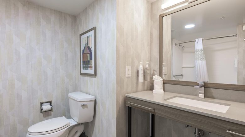 <b>Hampton Inn & Suites Historic District Room</b>. Images powered by <a href="https://iceportal.shijigroup.com/" title="IcePortal" target="_blank">IcePortal</a>.