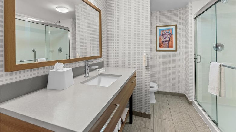 <b>Hampton Inn & Suites-Philadelphia Room</b>. Images powered by <a href="https://iceportal.shijigroup.com/" title="IcePortal" target="_blank">IcePortal</a>.