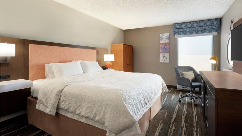 <b>Hampton Inn Phoenix/Chandler Room</b>. Images powered by <a href="https://iceportal.shijigroup.com/" title="IcePortal" target="_blank">IcePortal</a>.