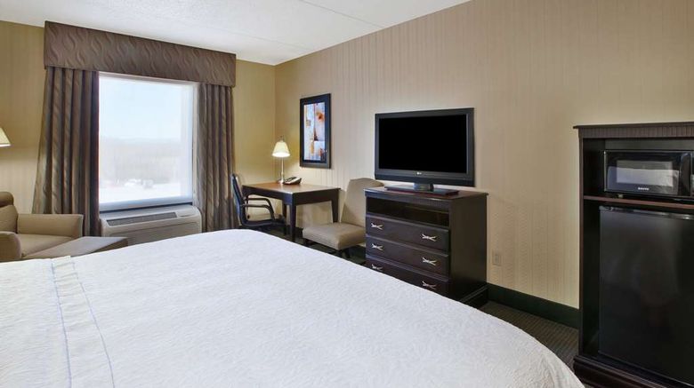 <b>Hampton Inn & Suites Plattsburgh Room</b>. Images powered by <a href="https://iceportal.shijigroup.com/" title="IcePortal" target="_blank">IcePortal</a>.