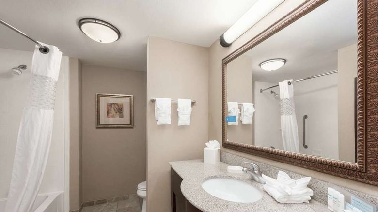 <b>Hampton Inn Branson Hills Room</b>. Images powered by <a href="https://iceportal.shijigroup.com/" title="IcePortal" target="_blank">IcePortal</a>.