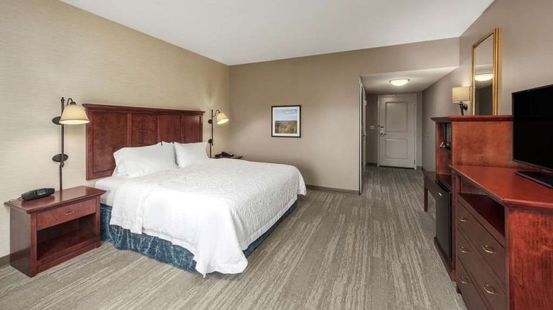 <b>Hampton Inn Branson Hills Room</b>. Images powered by <a href="https://iceportal.shijigroup.com/" title="IcePortal" target="_blank">IcePortal</a>.