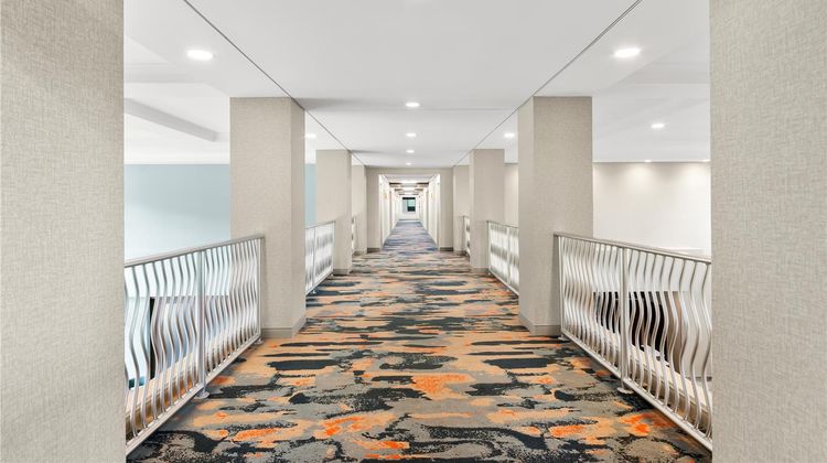 Hampton Inn & Suites I-10 Pine Forest Rd Lobby