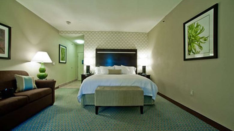 <b>Hampton Inn and Suites Denison Room</b>. Images powered by <a href="https://iceportal.shijigroup.com/" title="IcePortal" target="_blank">IcePortal</a>.