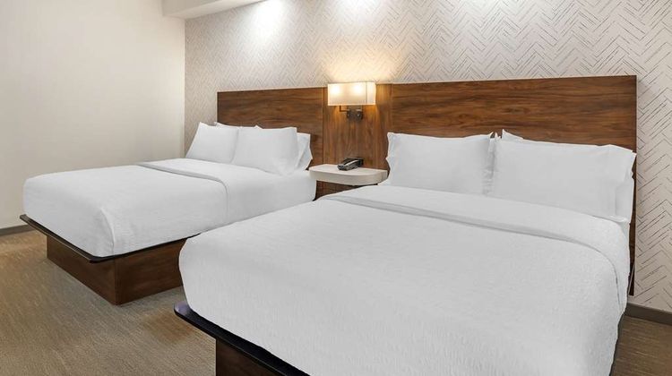 Hampton Inn by Hilton Petersburg Fort Lee Room