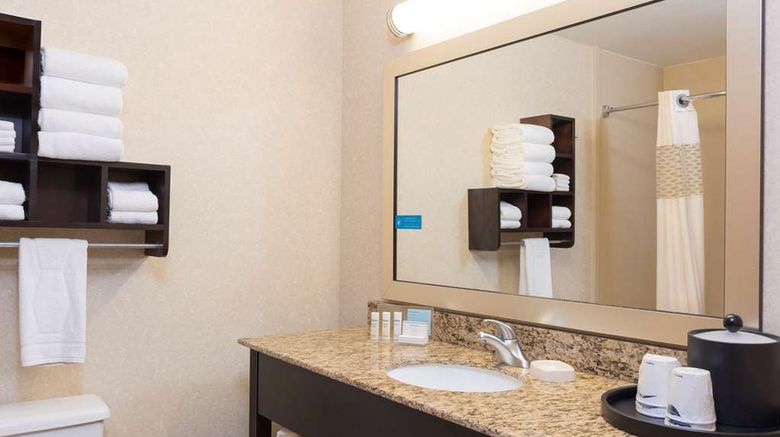 <b>Hampton Inn Port Huron Room</b>. Images powered by <a href="https://iceportal.shijigroup.com/" title="IcePortal" target="_blank">IcePortal</a>.