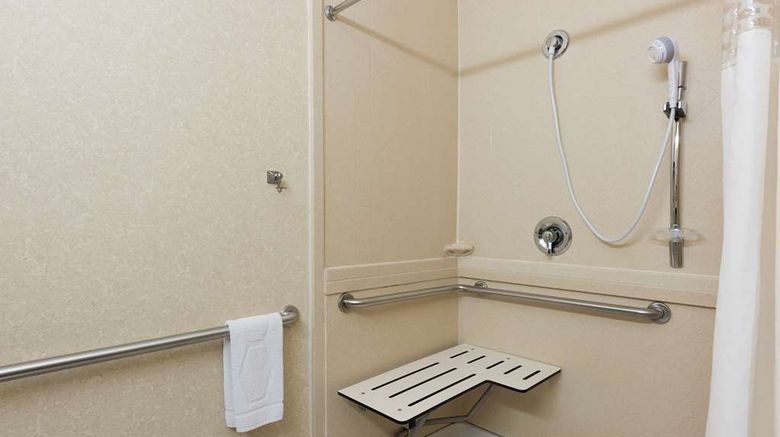 <b>Hampton Inn Port Huron Room</b>. Images powered by <a href="https://iceportal.shijigroup.com/" title="IcePortal" target="_blank">IcePortal</a>.