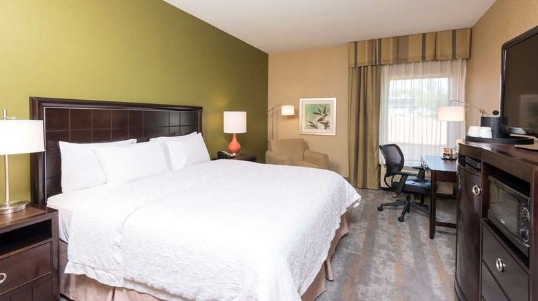 <b>Hampton Inn Port Huron Room</b>. Images powered by <a href="https://iceportal.shijigroup.com/" title="IcePortal" target="_blank">IcePortal</a>.