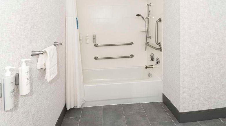 <b>Hampton Inn & Suites Raleigh Downtown Room</b>. Images powered by <a href="https://iceportal.shijigroup.com/" title="IcePortal" target="_blank">IcePortal</a>.