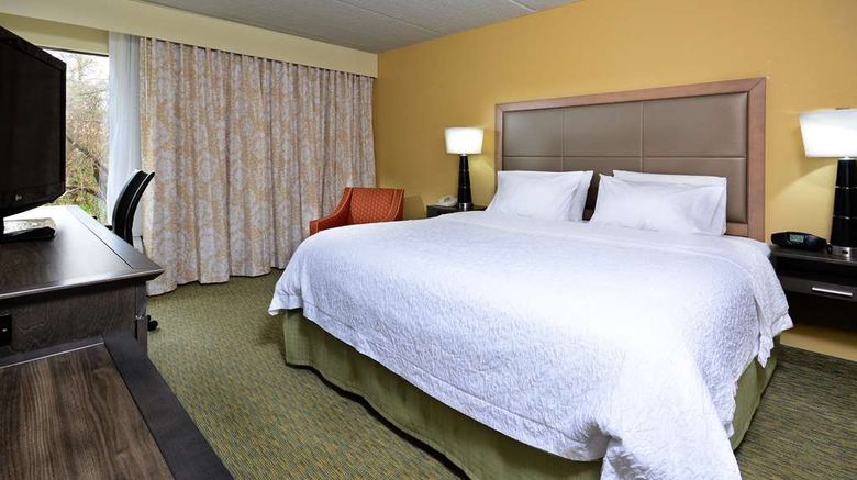 <b>Hampton Inn Raleigh Town of Wake Forest Room</b>. Images powered by <a href="https://iceportal.shijigroup.com/" title="IcePortal" target="_blank">IcePortal</a>.