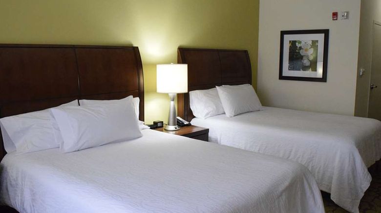 <b>Hilton Garden Inn Rochester Downtown Room</b>. Images powered by <a href="https://iceportal.shijigroup.com/" title="IcePortal" target="_blank">IcePortal</a>.