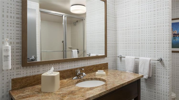 Hampton Inn & Suites Rochester/Henrietta Room