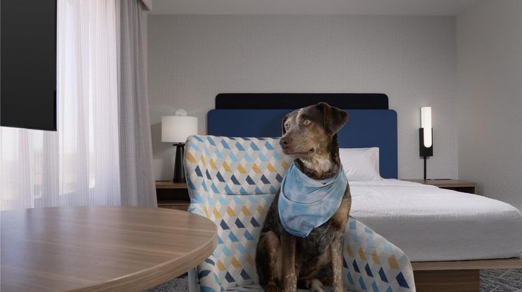 Hampton Inn & Suites Roswell Room