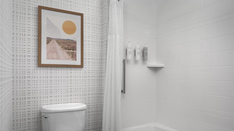 <b>Hampton Inn & Suites Roswell Room</b>. Images powered by <a href="https://iceportal.shijigroup.com/" title="IcePortal" target="_blank">IcePortal</a>.