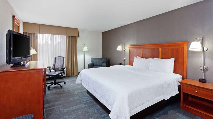 Hampton Inn San Marcos Room